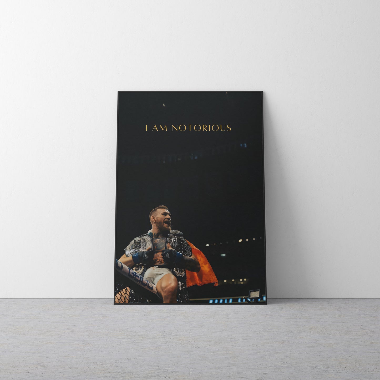 Conor Mcgregor 'Notorious' Canvas